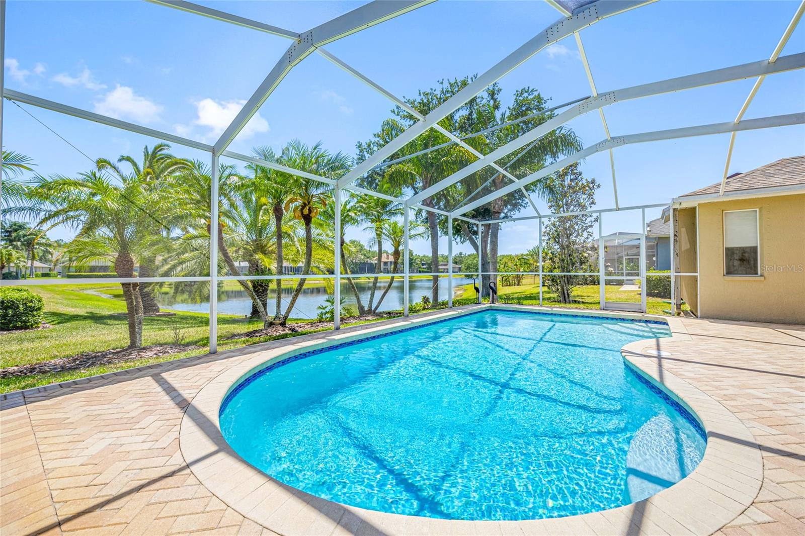 Pool and pond