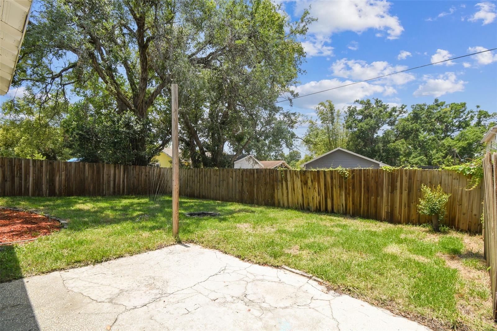 Backyard