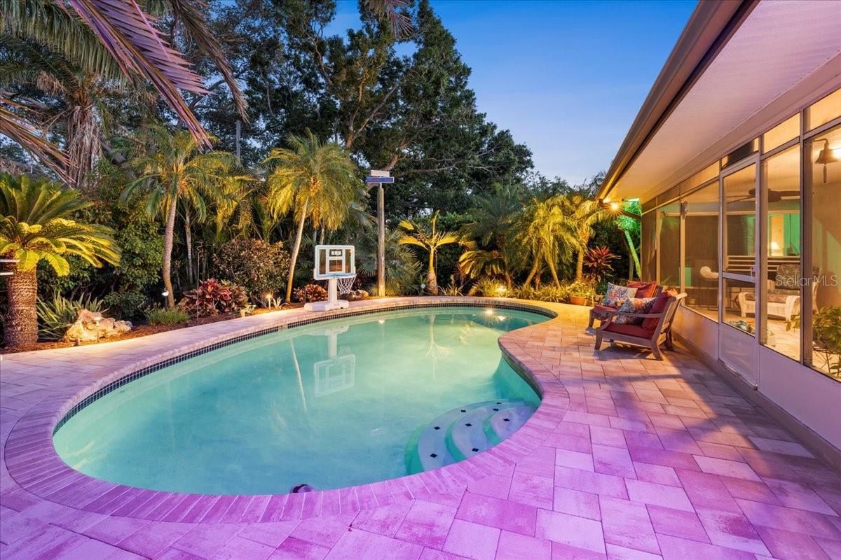Sparkling pool