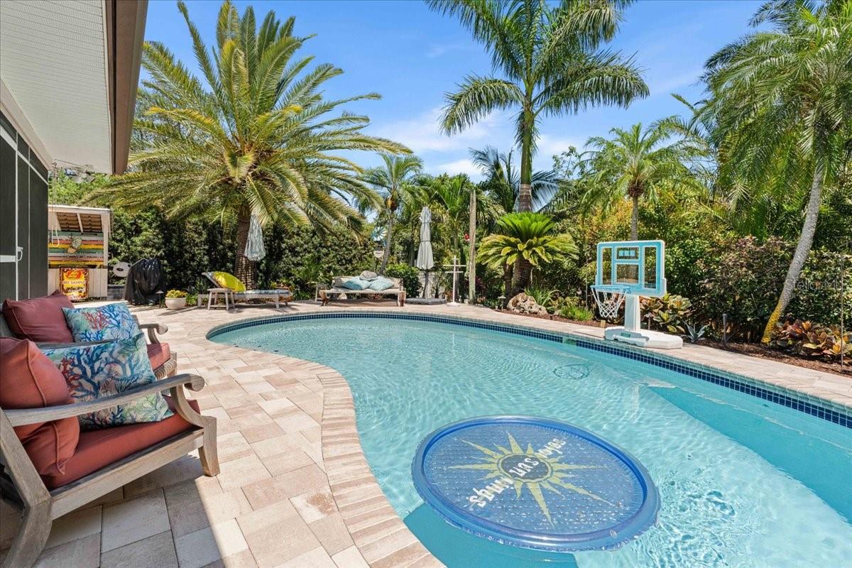 Sparkling pool
