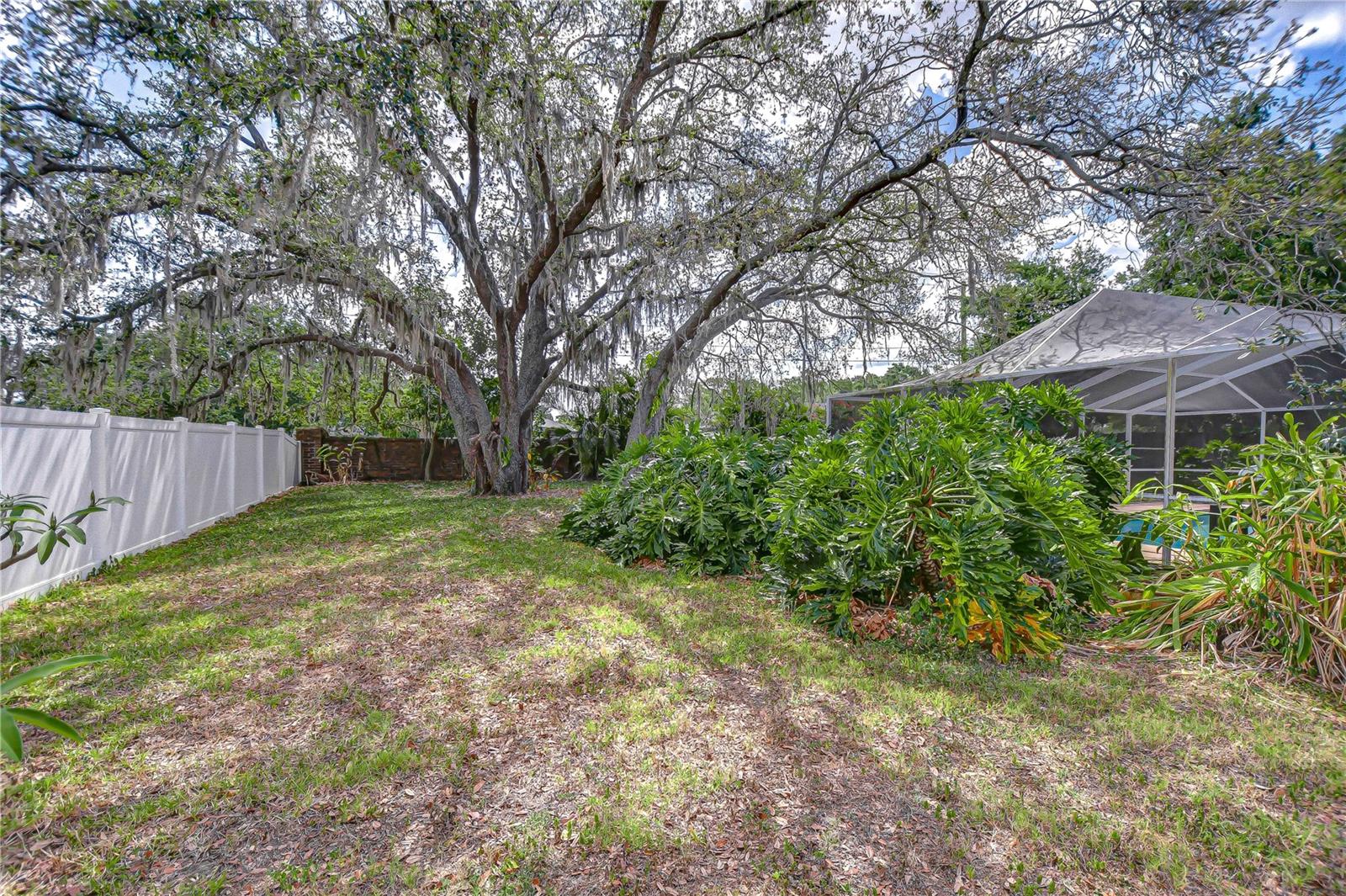 Large fenced yard!