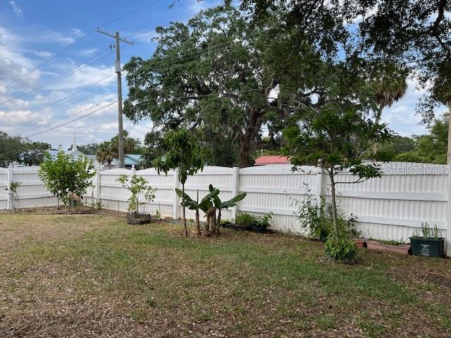 View of Back Yard
