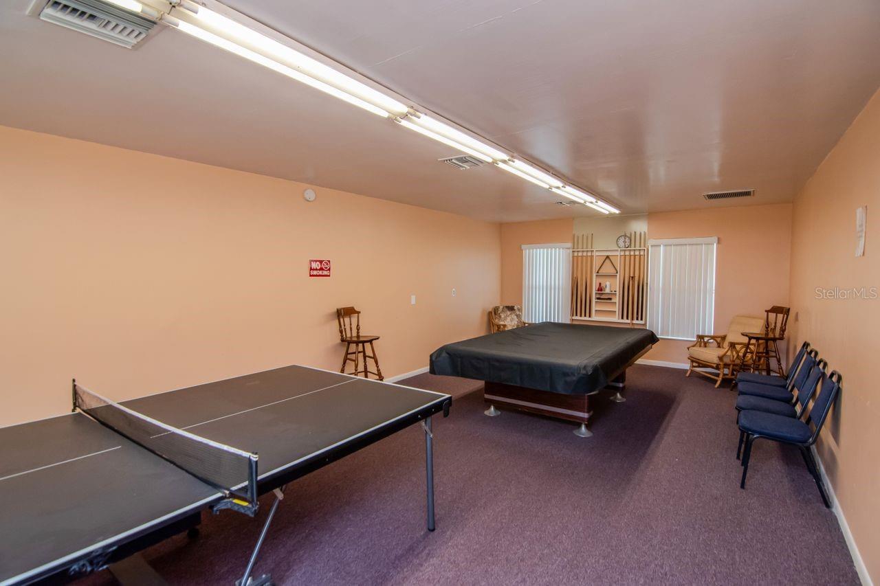 Ping pong and pool table