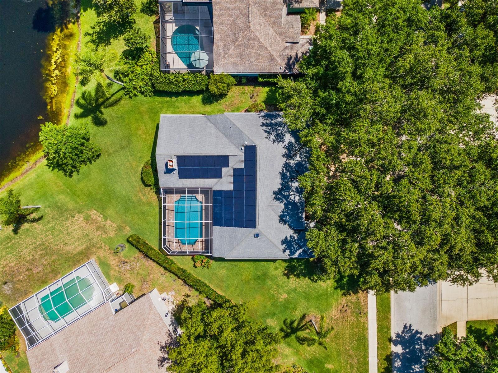 Drone View