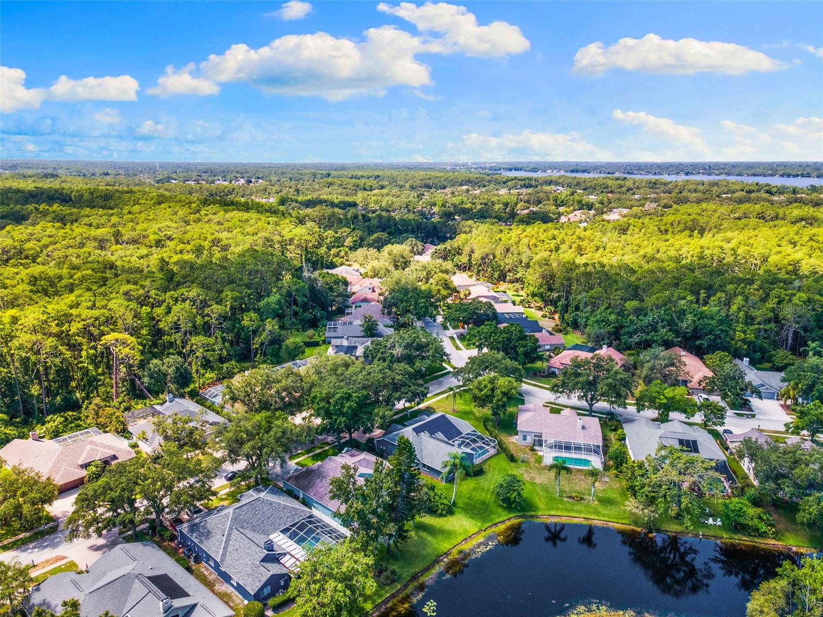 Drone View