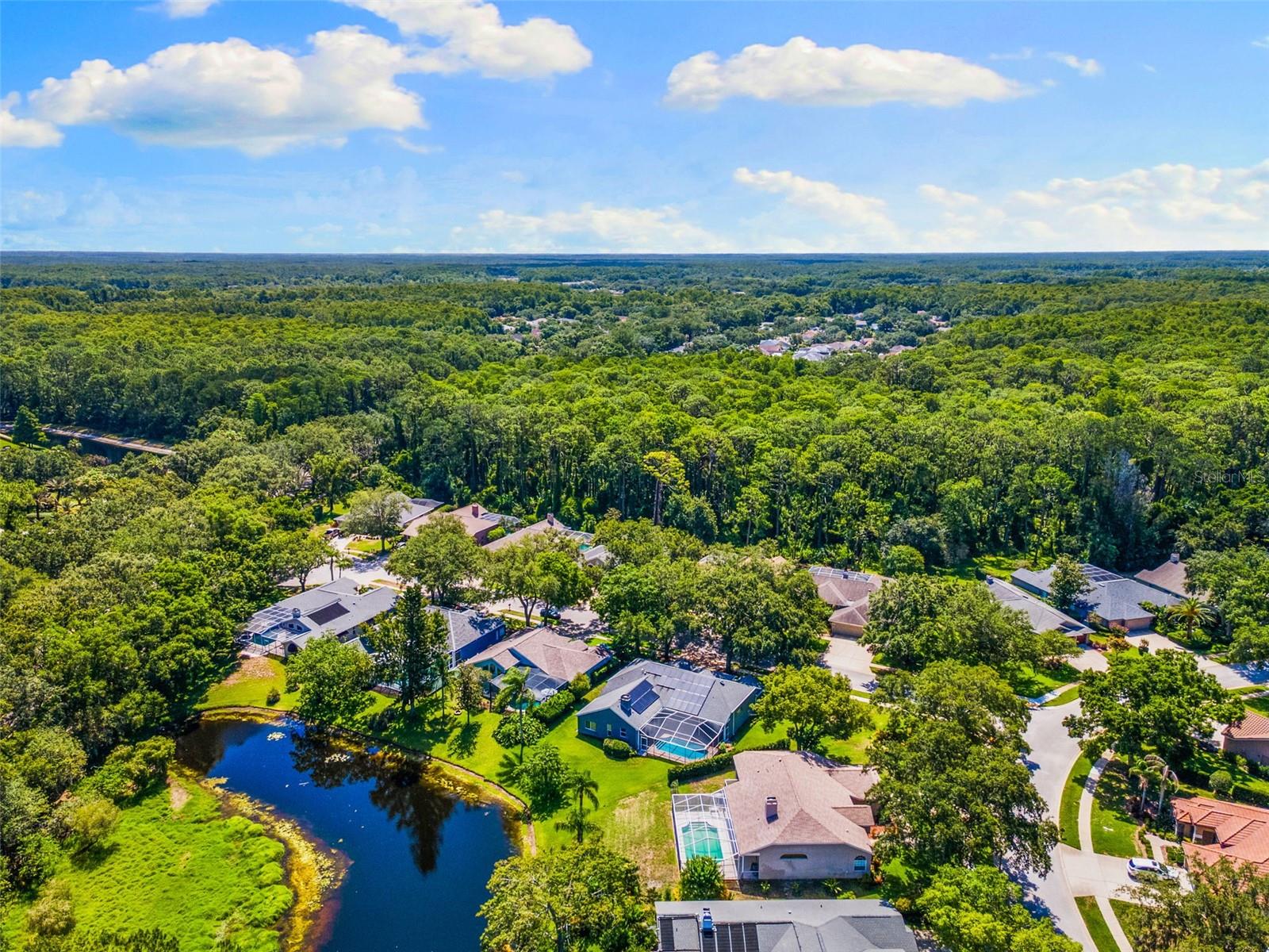 Drone View