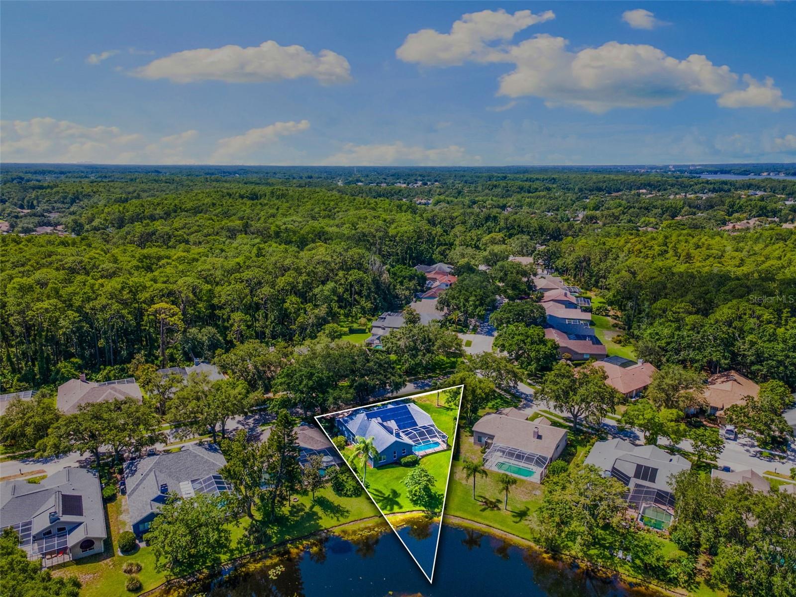 Drone View