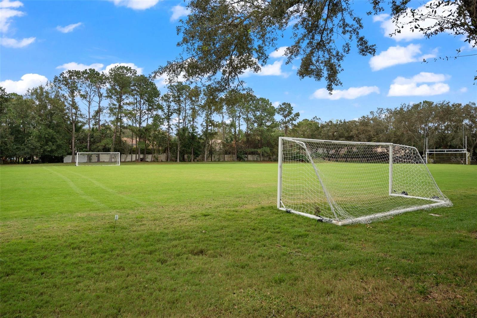 Soccer Field