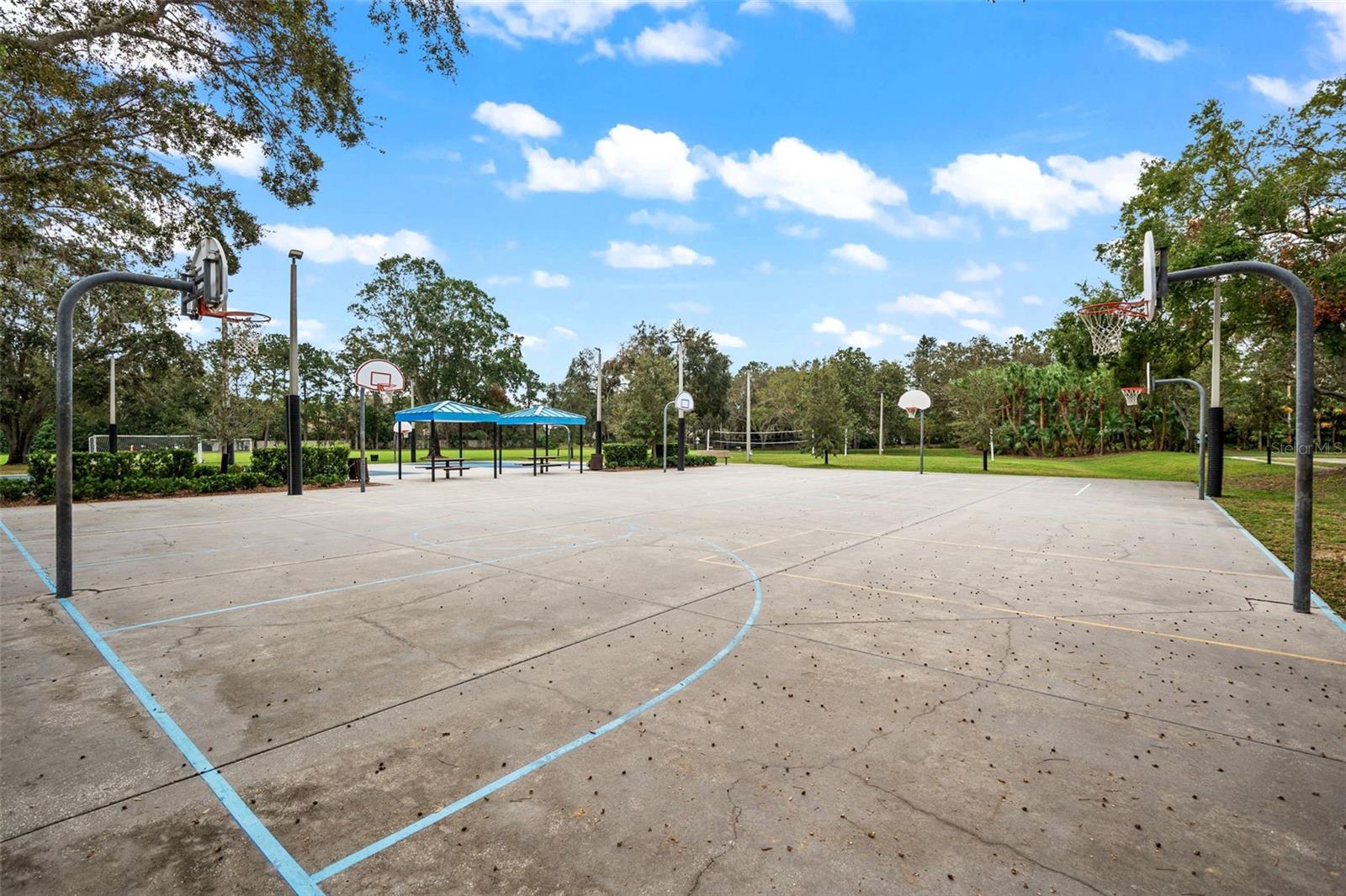 Basket Ball Court