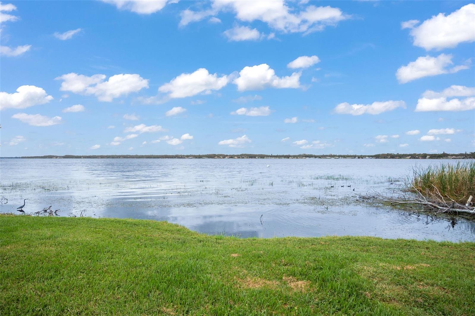 Water Front Park Lake Tarpon