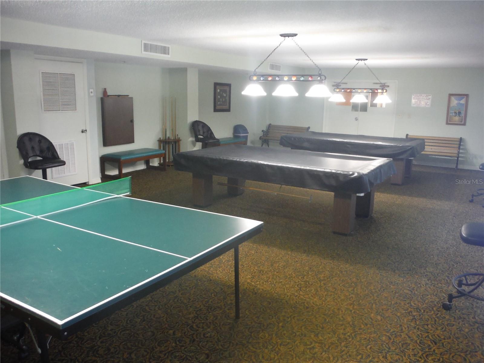 Billiards or Ping Pong, anyone?