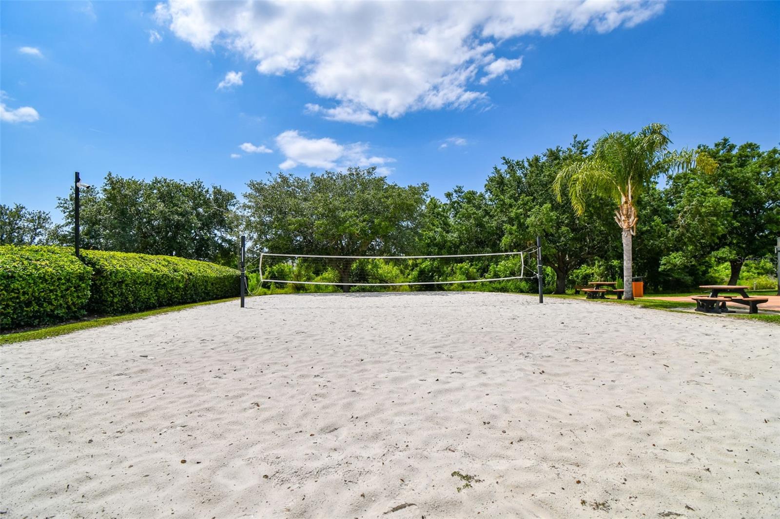 Community Volleyball