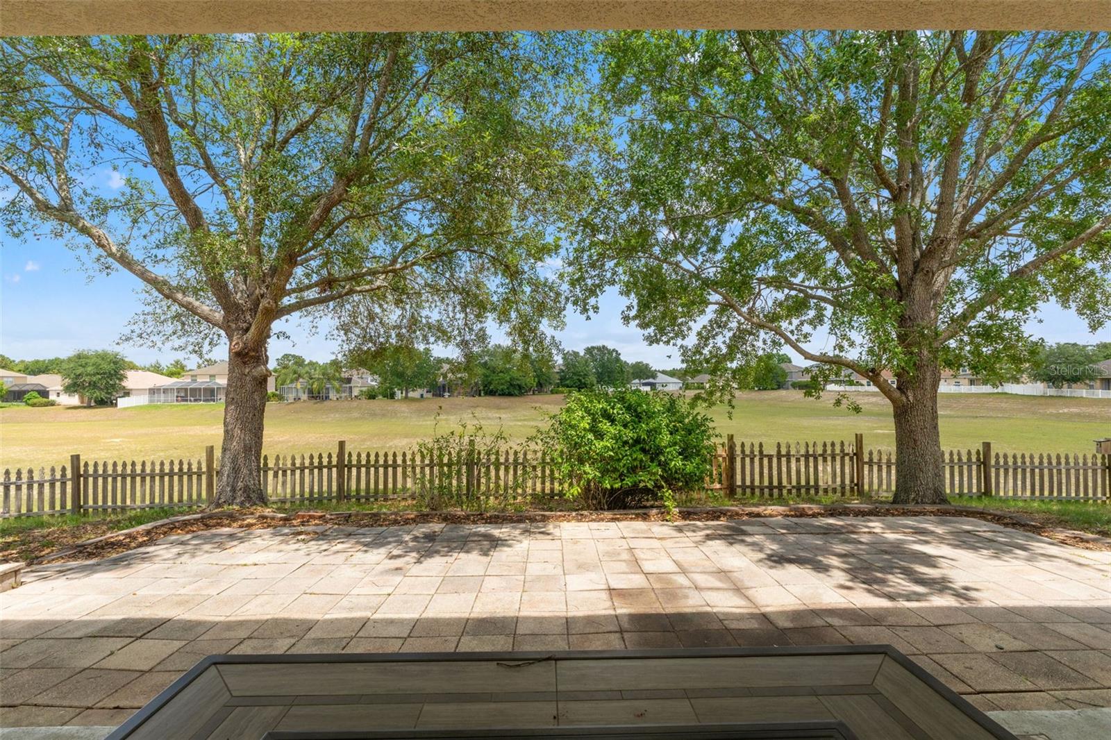 back patio view