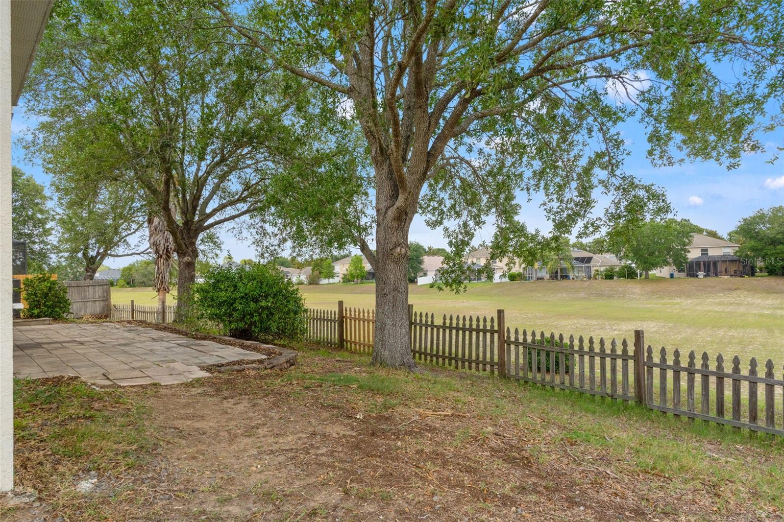 back yard