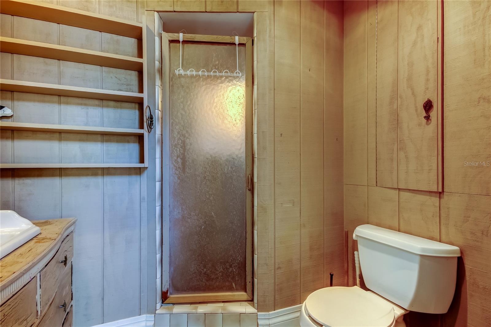 downstairs bath
