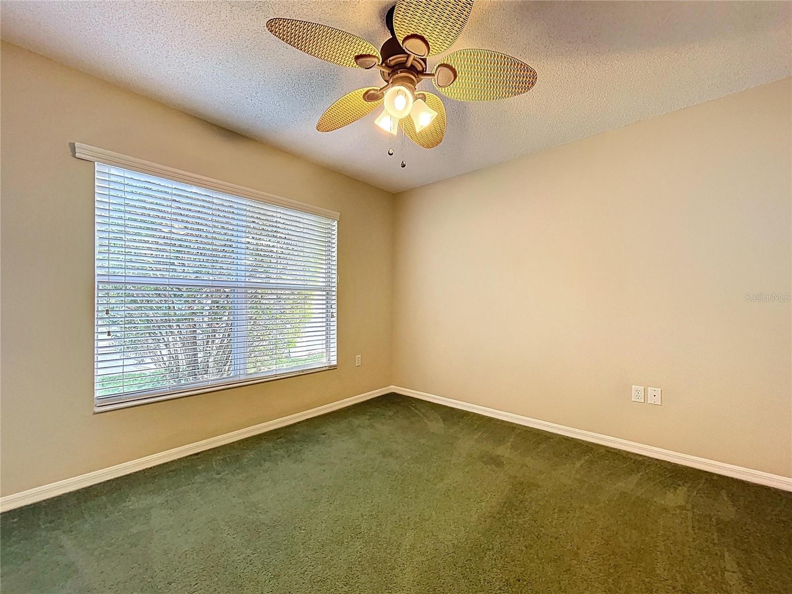 Large window and good wall space