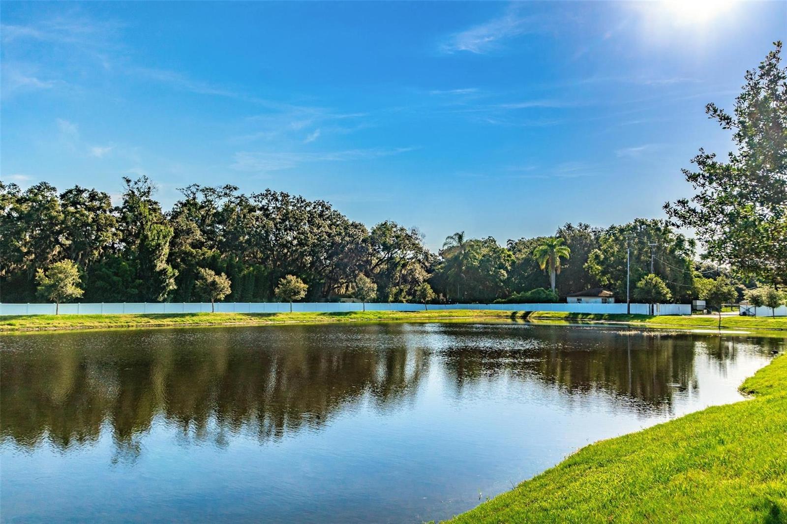 Community Pond