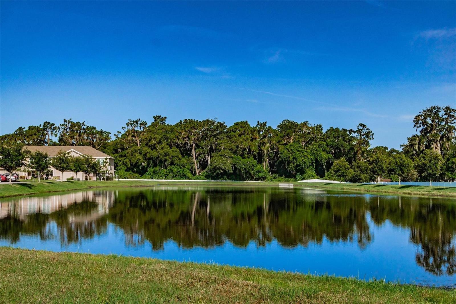 Community Pond