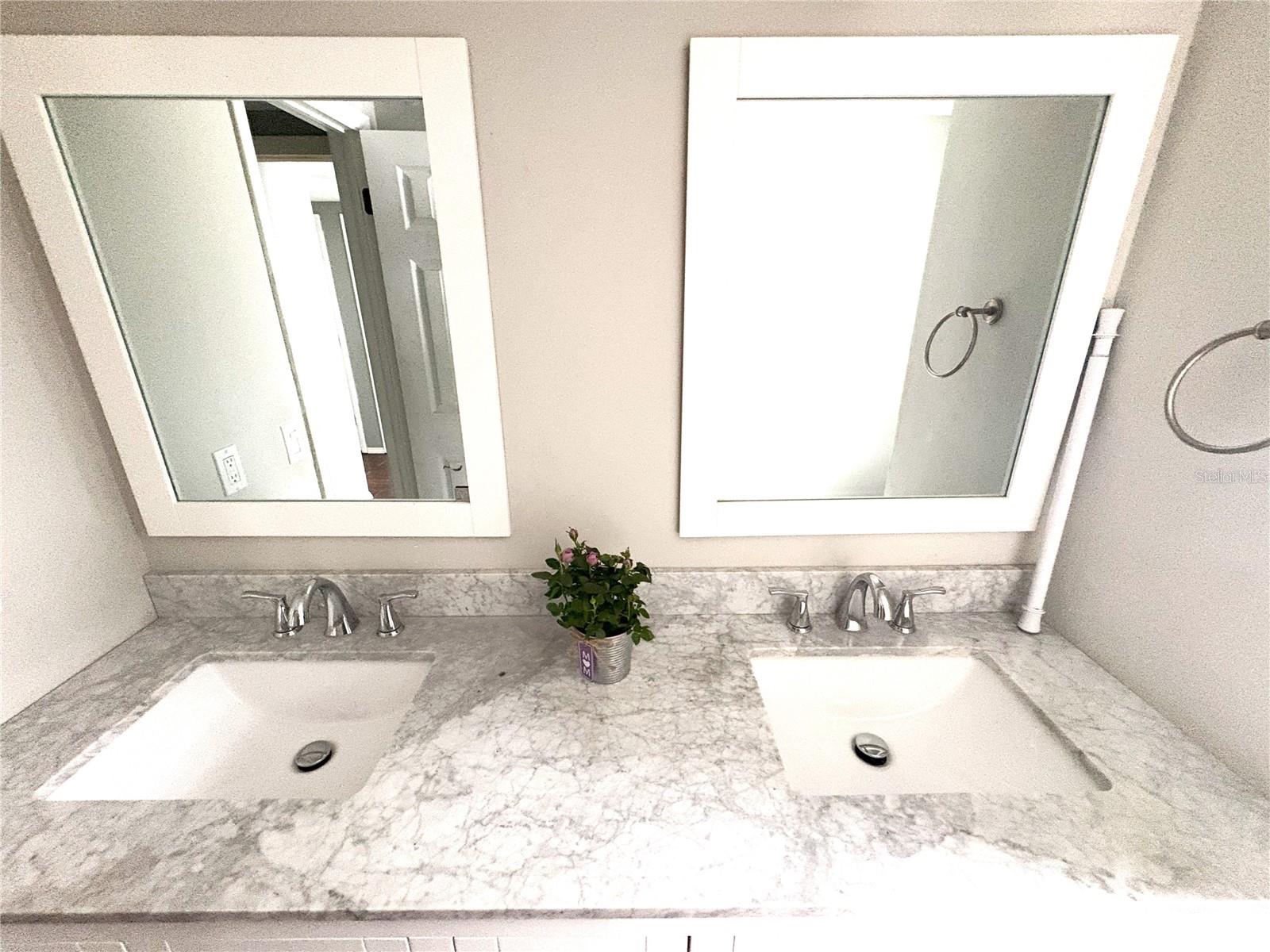 stone dual sinks master