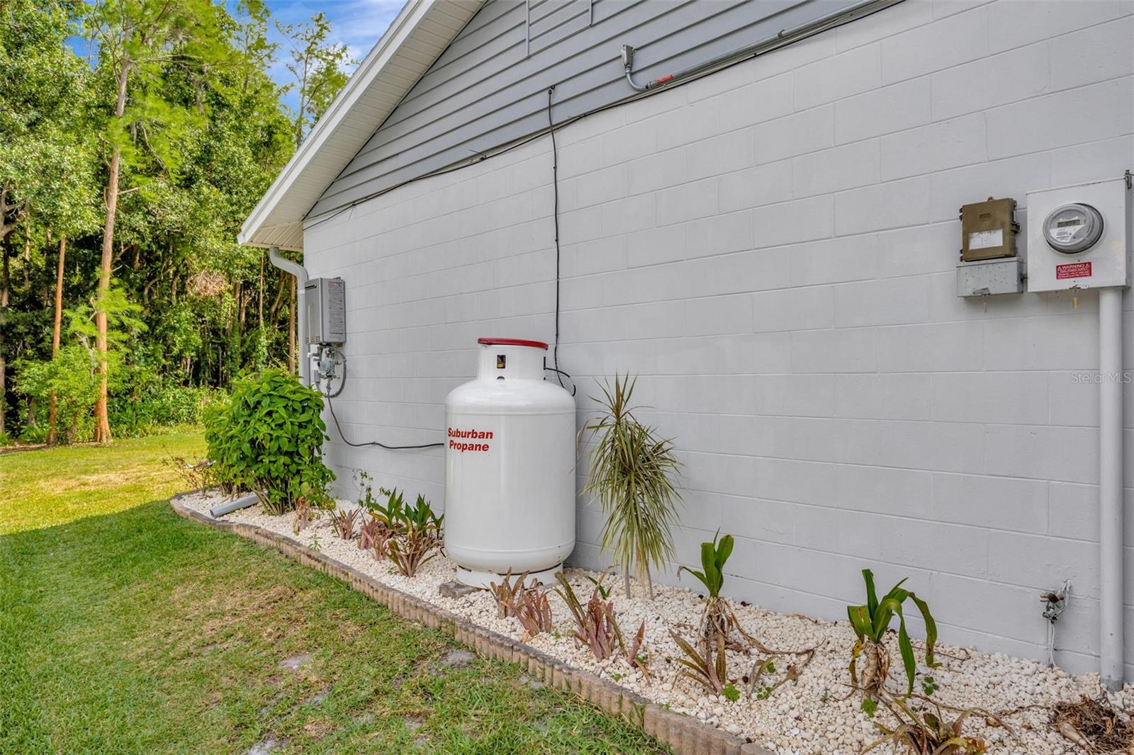 NW side yard and gas tank