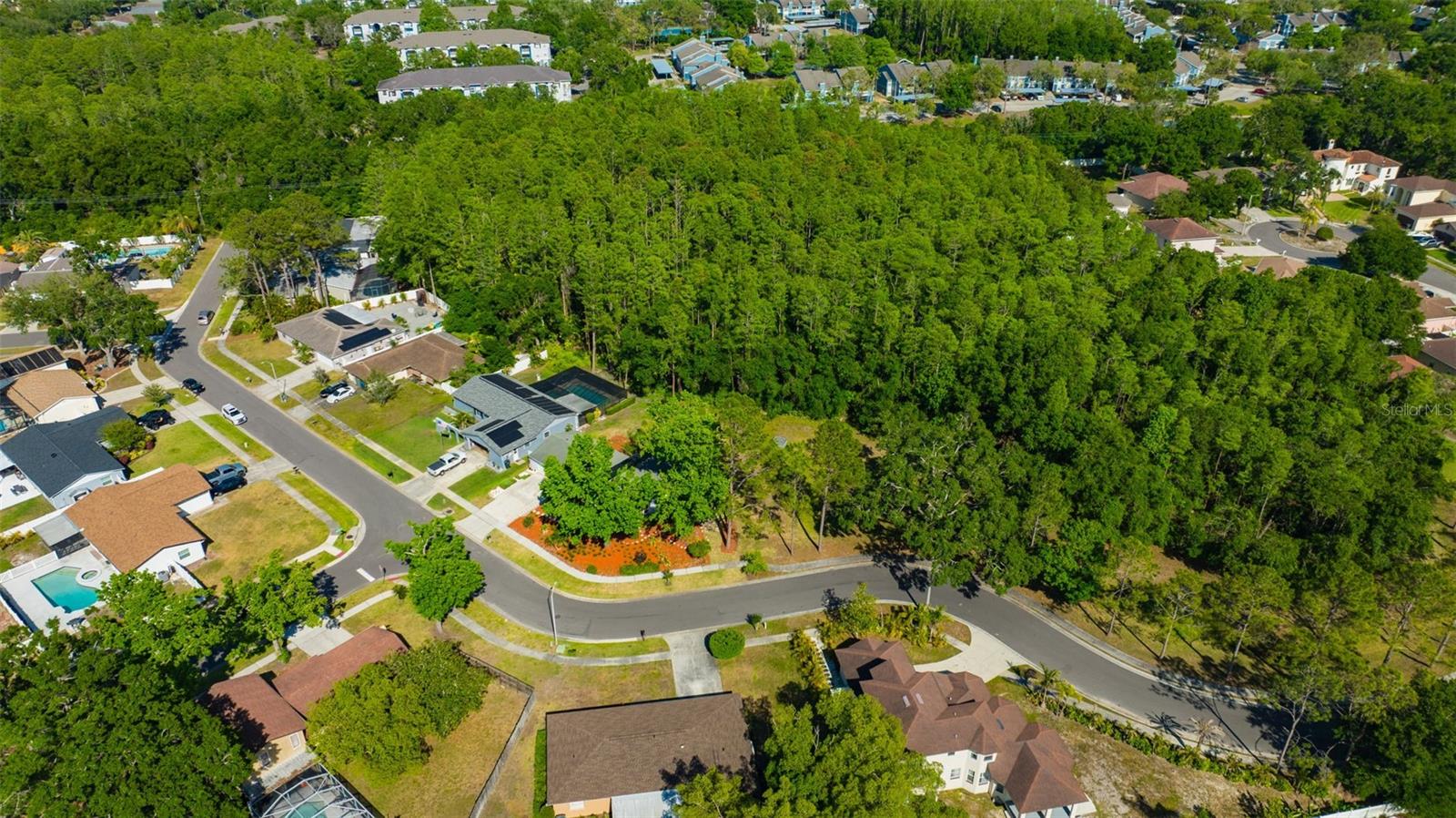 Front aerial conservation/woods view