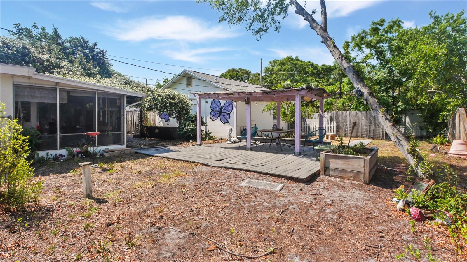Back Yard
