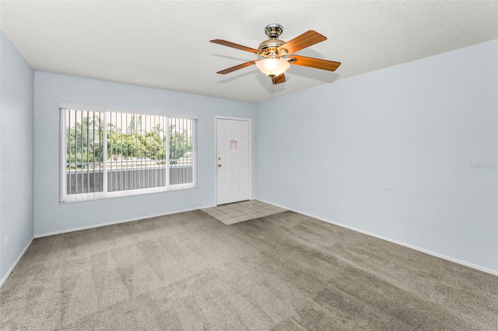 Living Room and Entrance