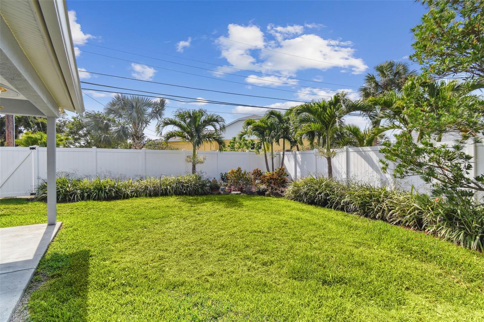 Spacious Backyard