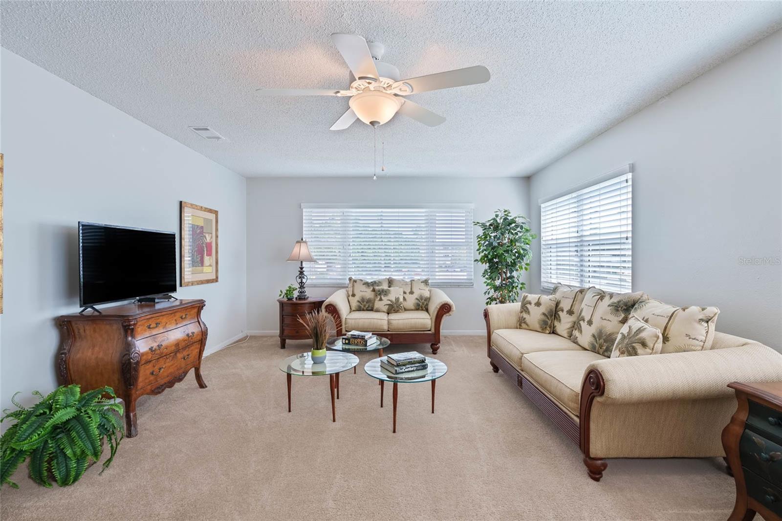 Large Living Area