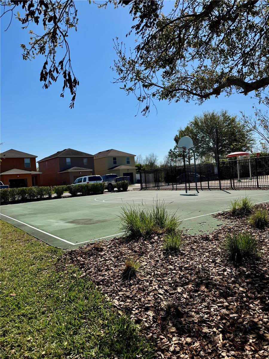 Basketball Court