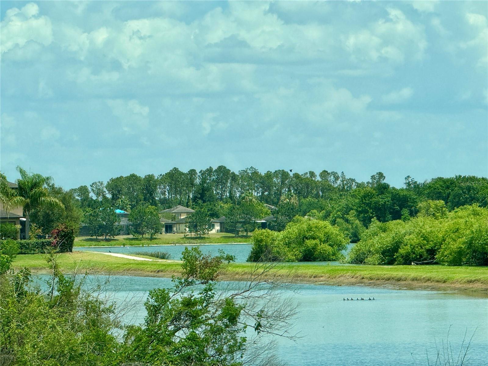Walking Trail