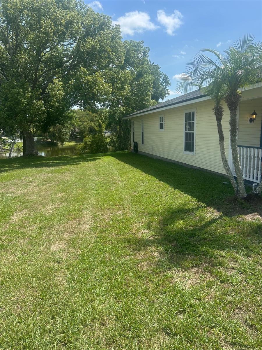 Left Side Yard