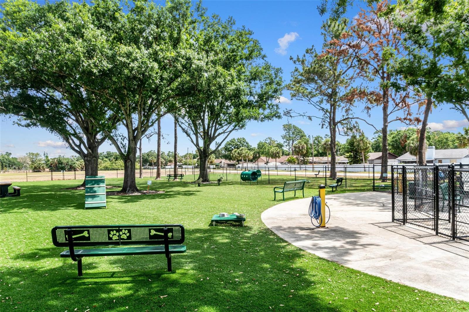 Community Dog Park