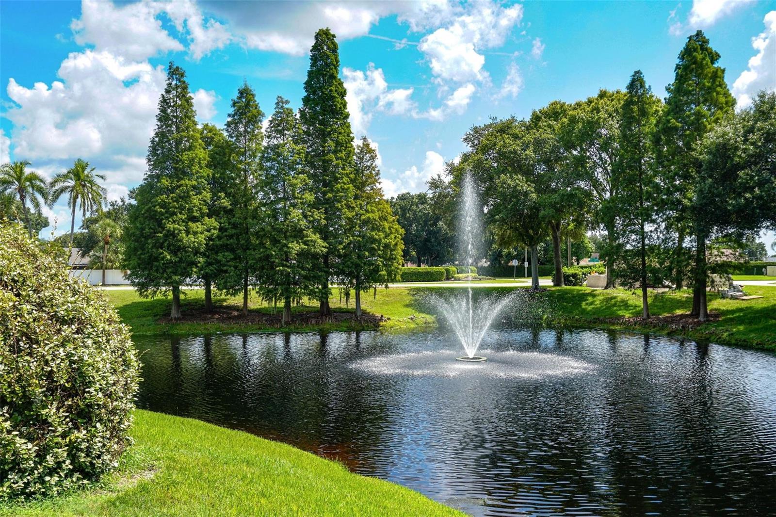 Summerfield Community