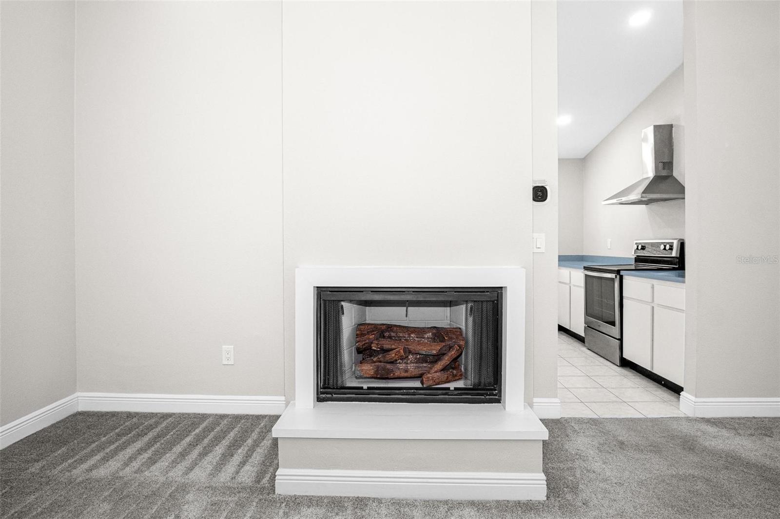 Wood Fireplace
