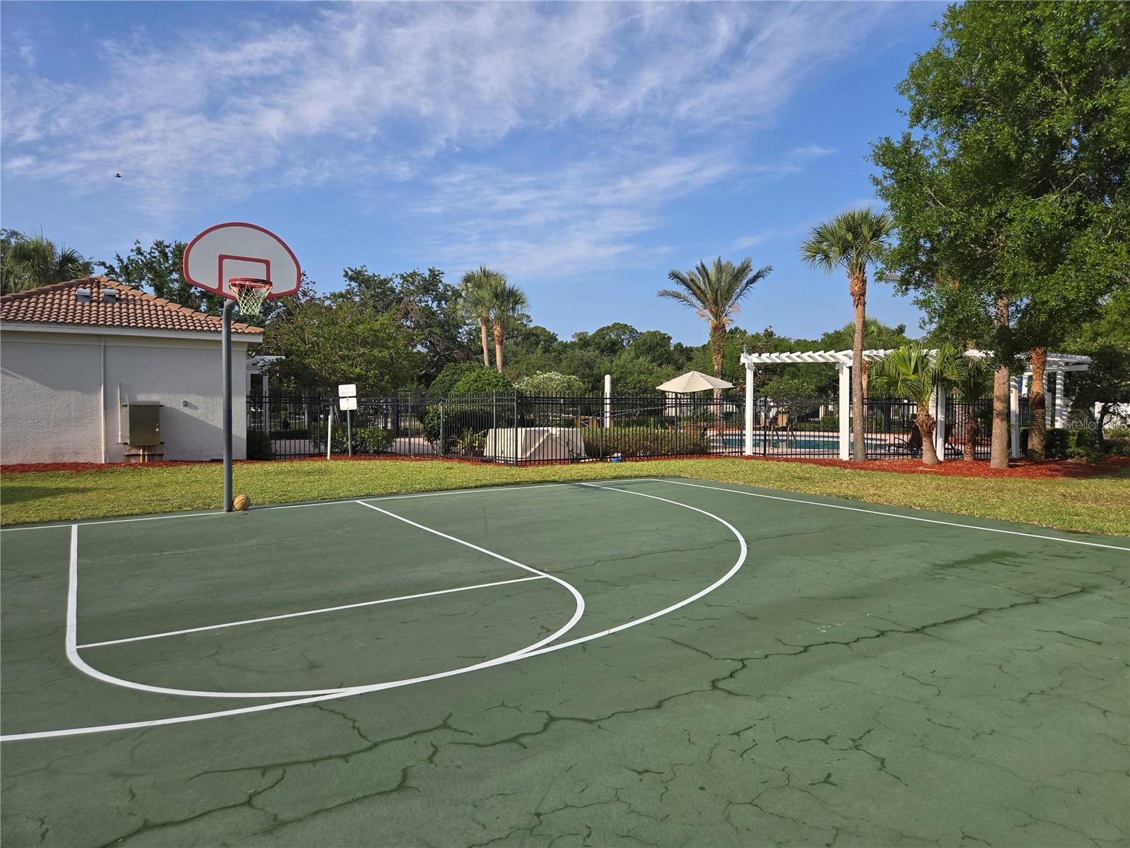 Basketball Court