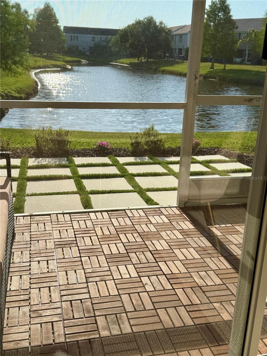 Pond view