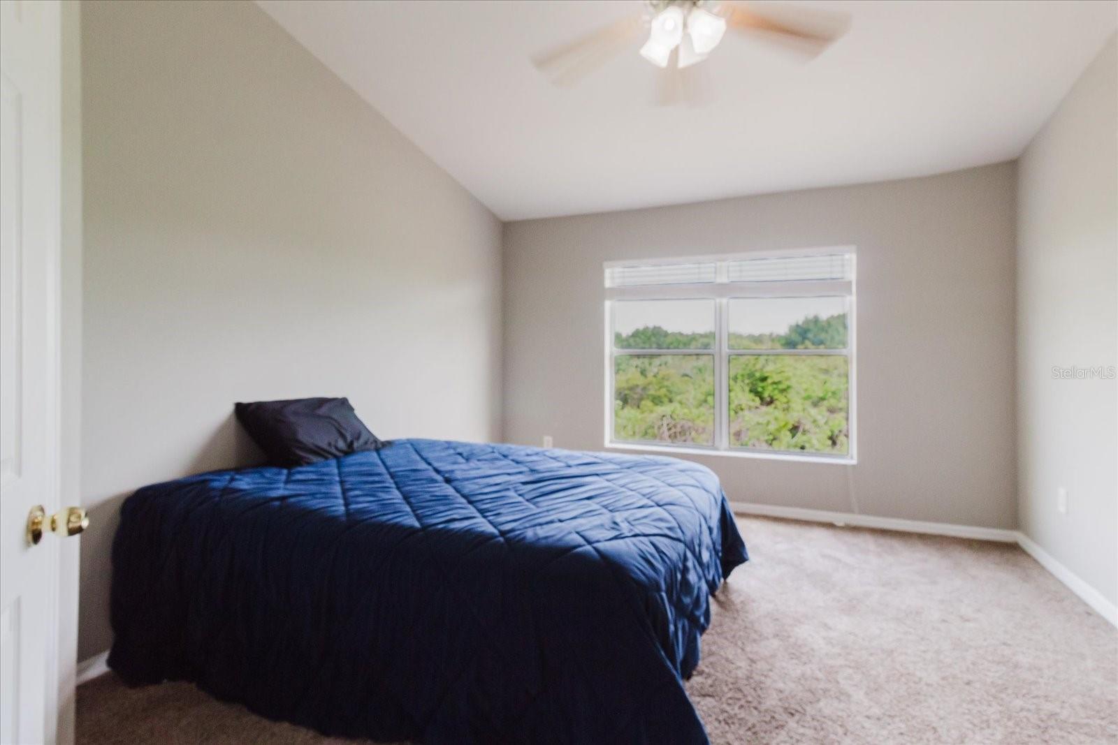 3rd Bedroom With A Walk In Closet And Carpet