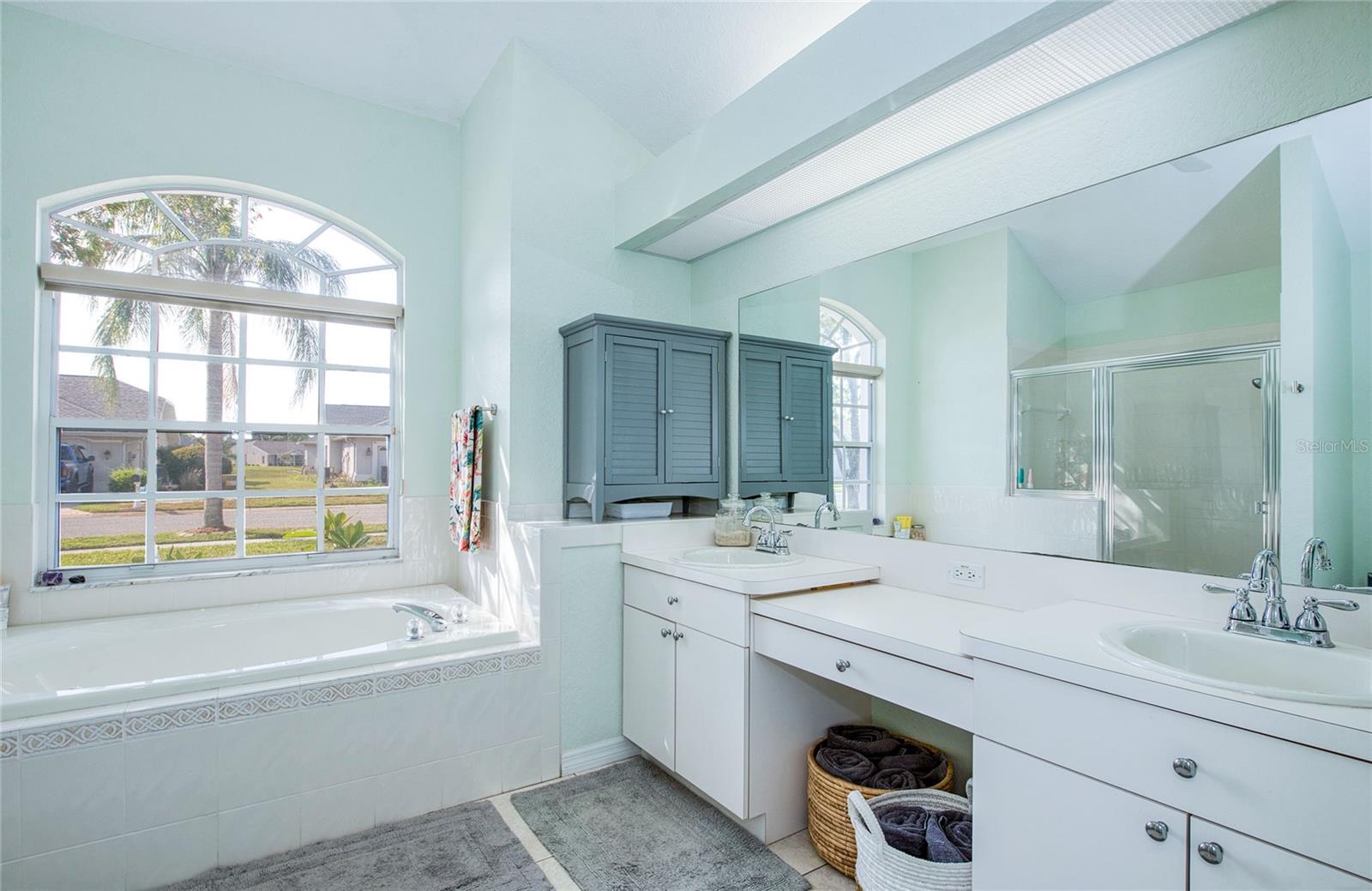 Master bathroom