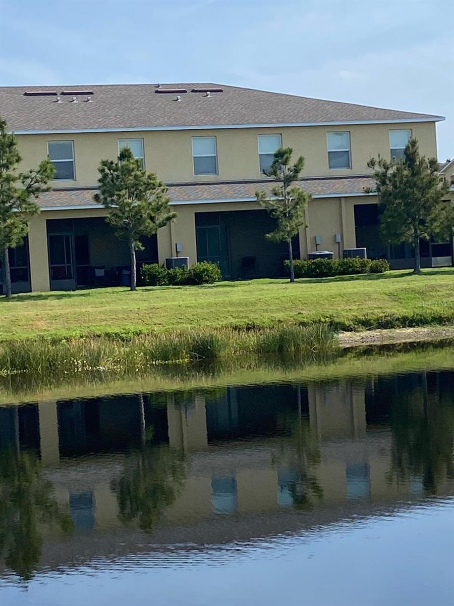 Backyard Lake View