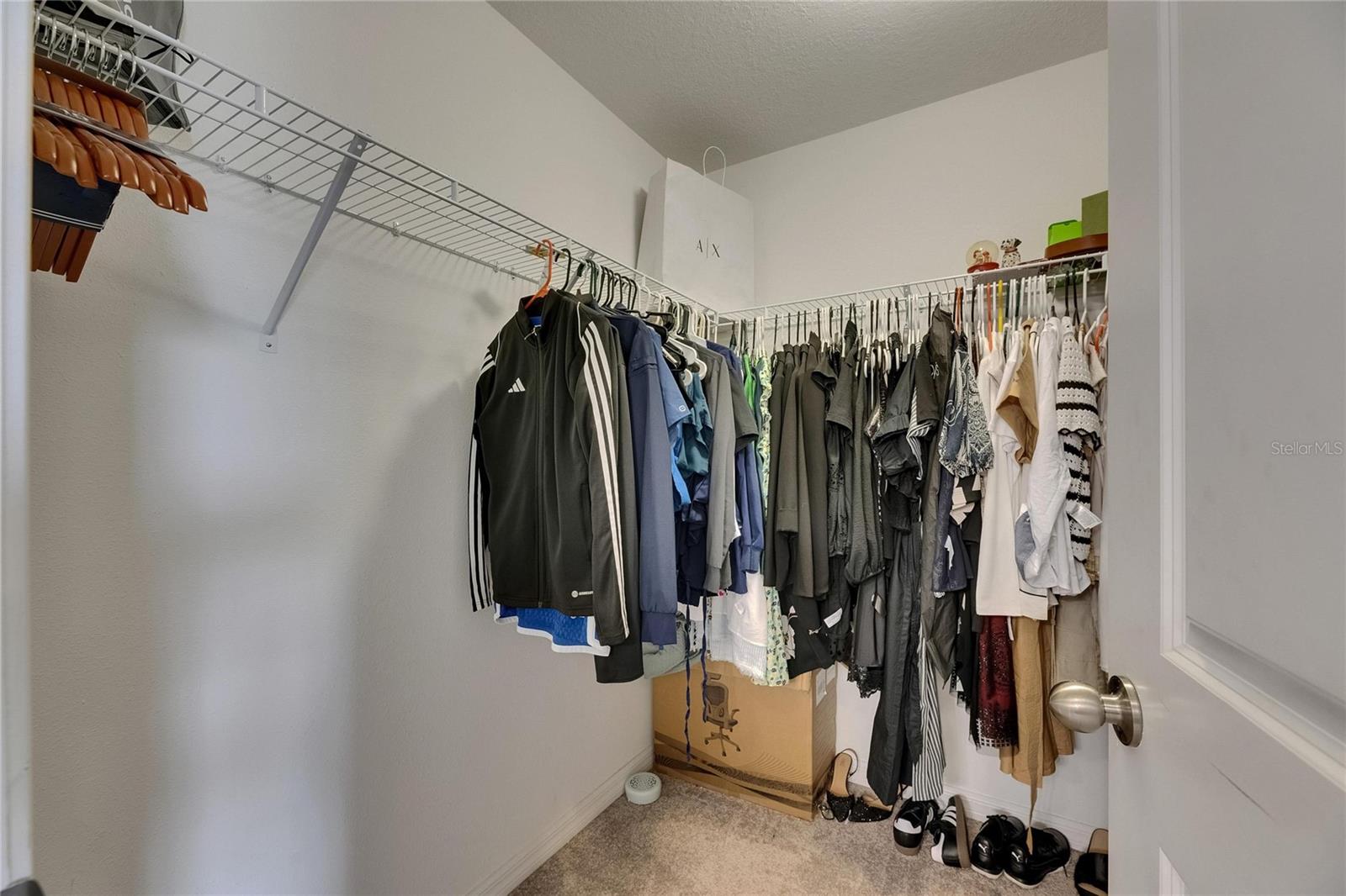 Primary Walk-In Closet