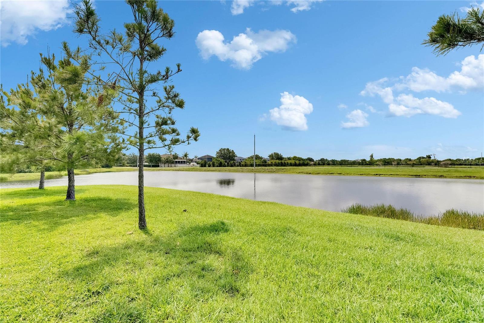Pond View