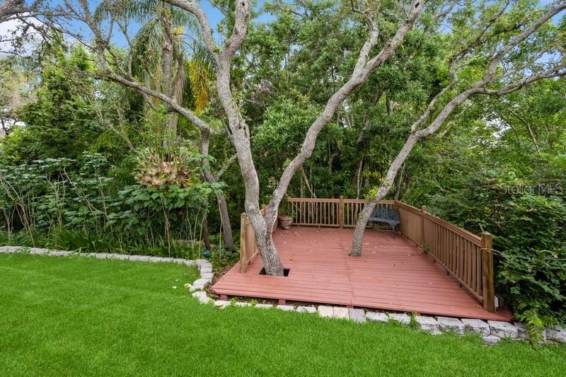 Tree Deck