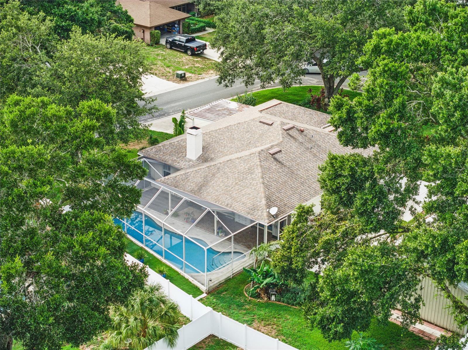 Mature trees and a fabulous pool!