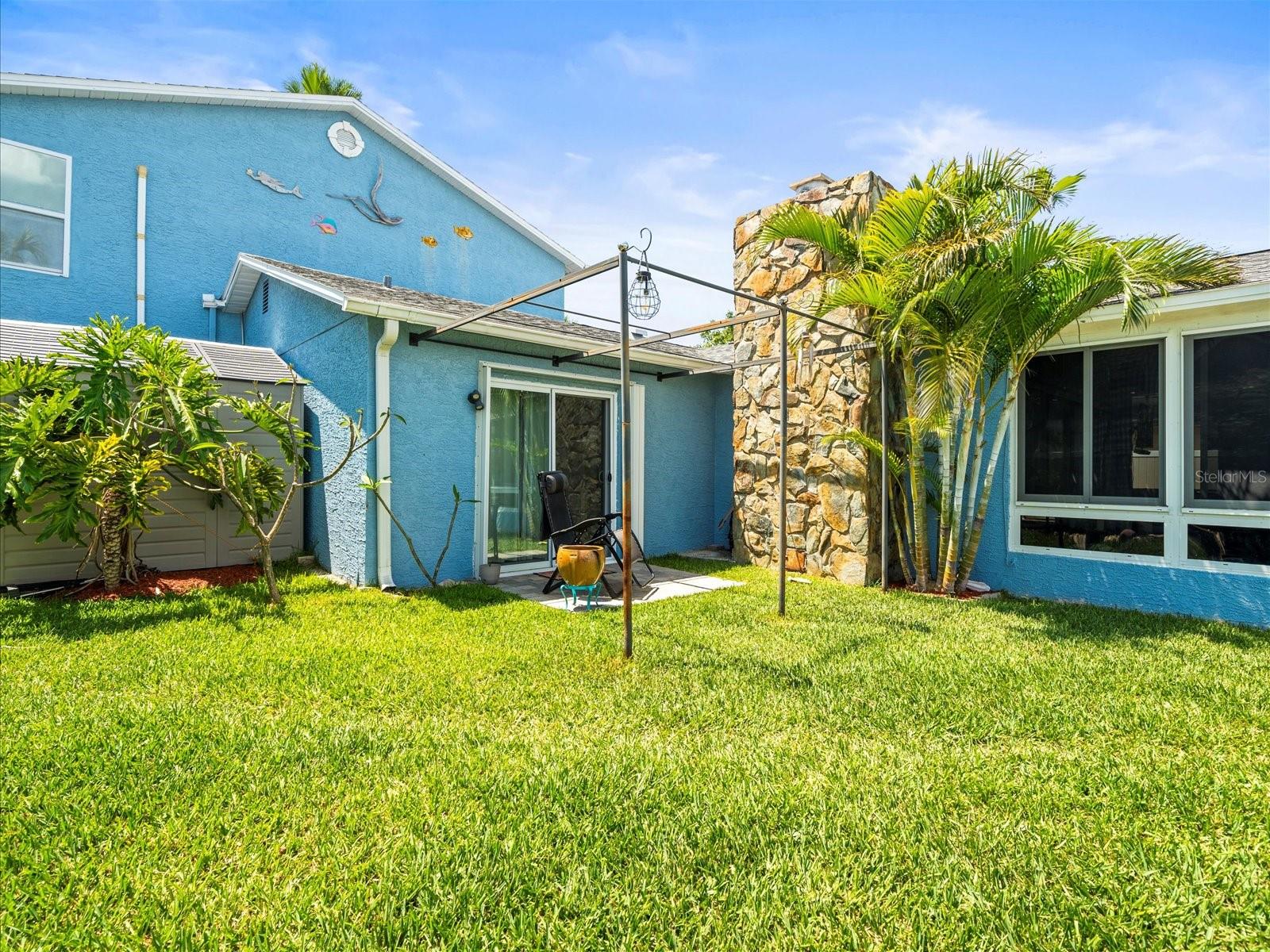 Back yard