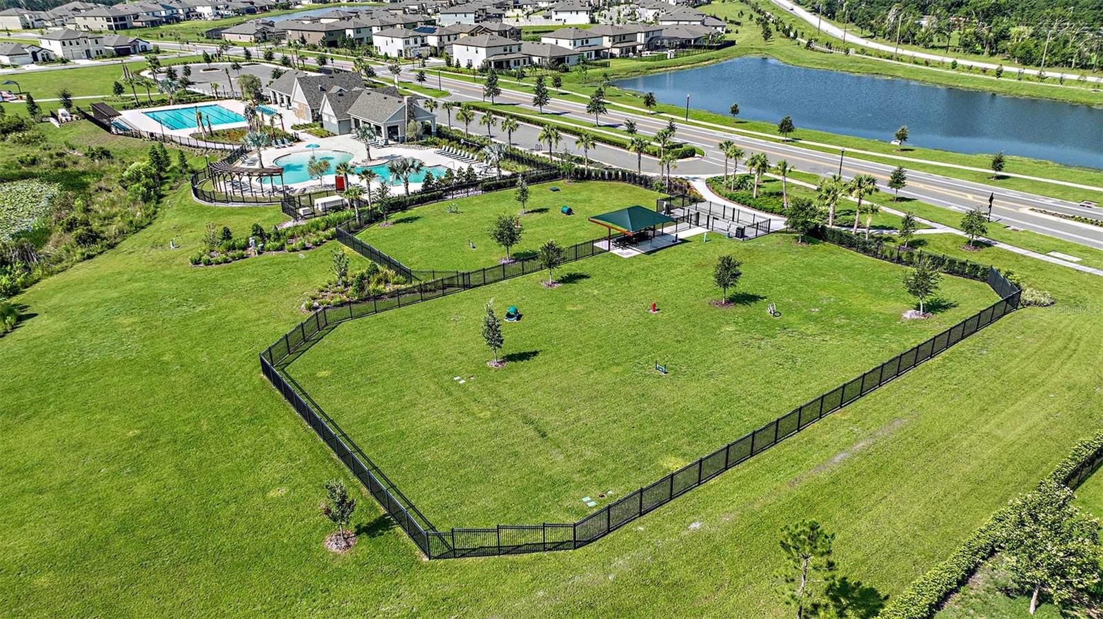 Fenced-in dog park