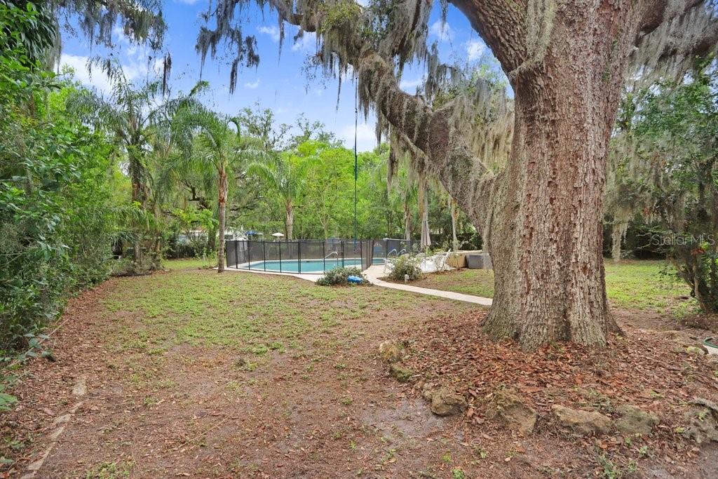 Huge backyard