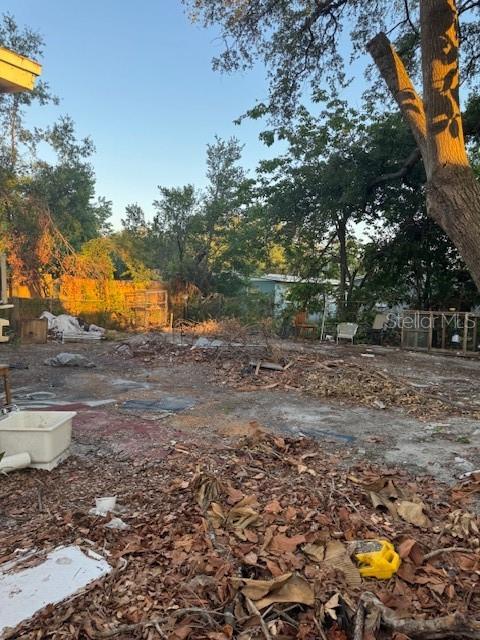 back yard