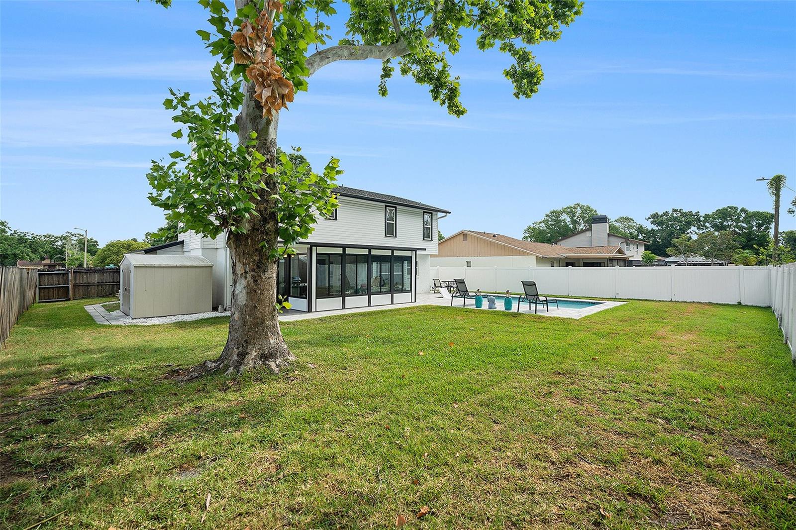 Great Big Yard with Shade tree