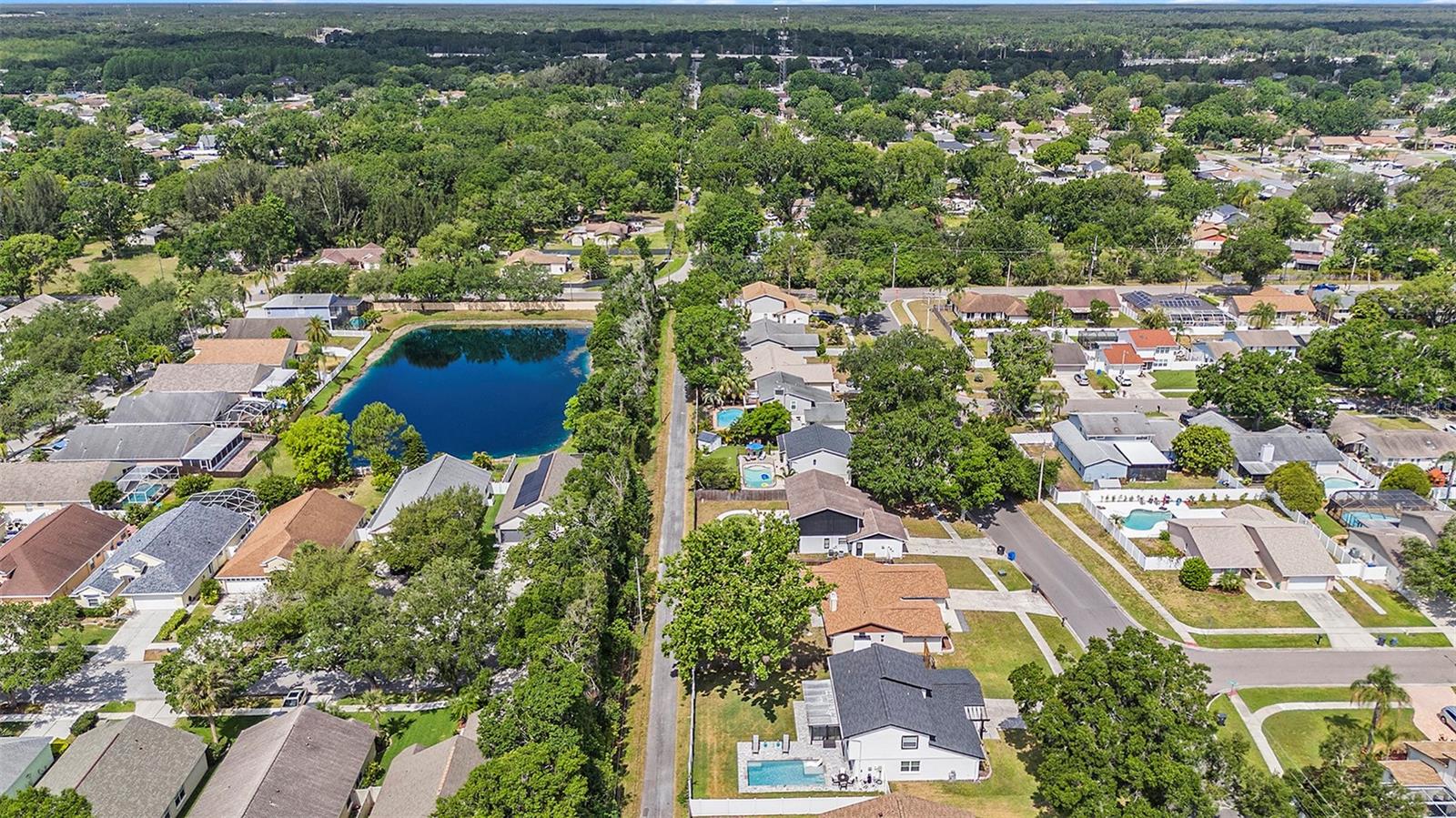 Carrollwood from the Sky